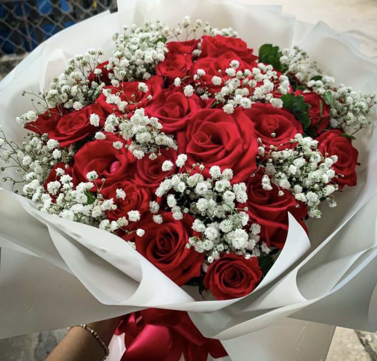 Elegant Red and White Bloom
